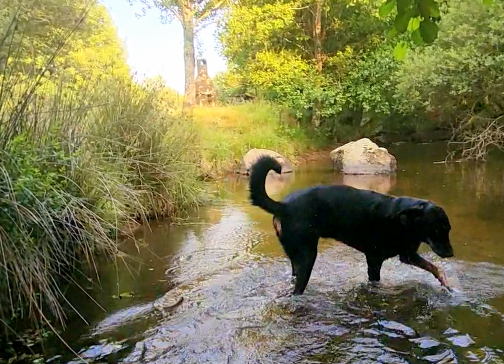 Capture plein écran 25112025 121746.bmp