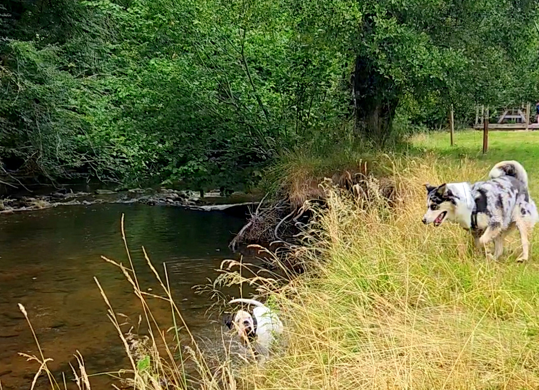 Capture plein écran 25112025 121839.bmp