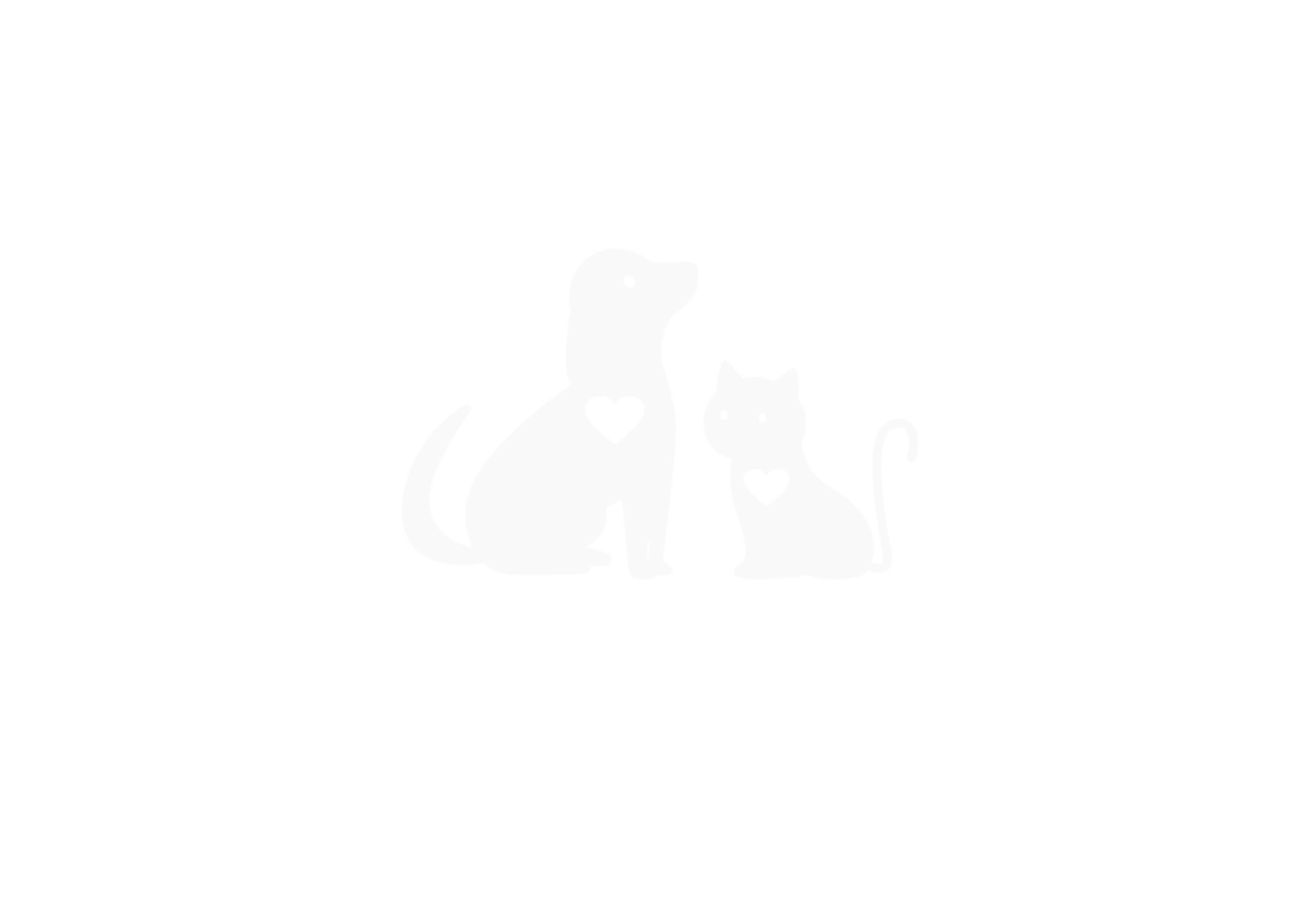 animaux acceptés bienvenus