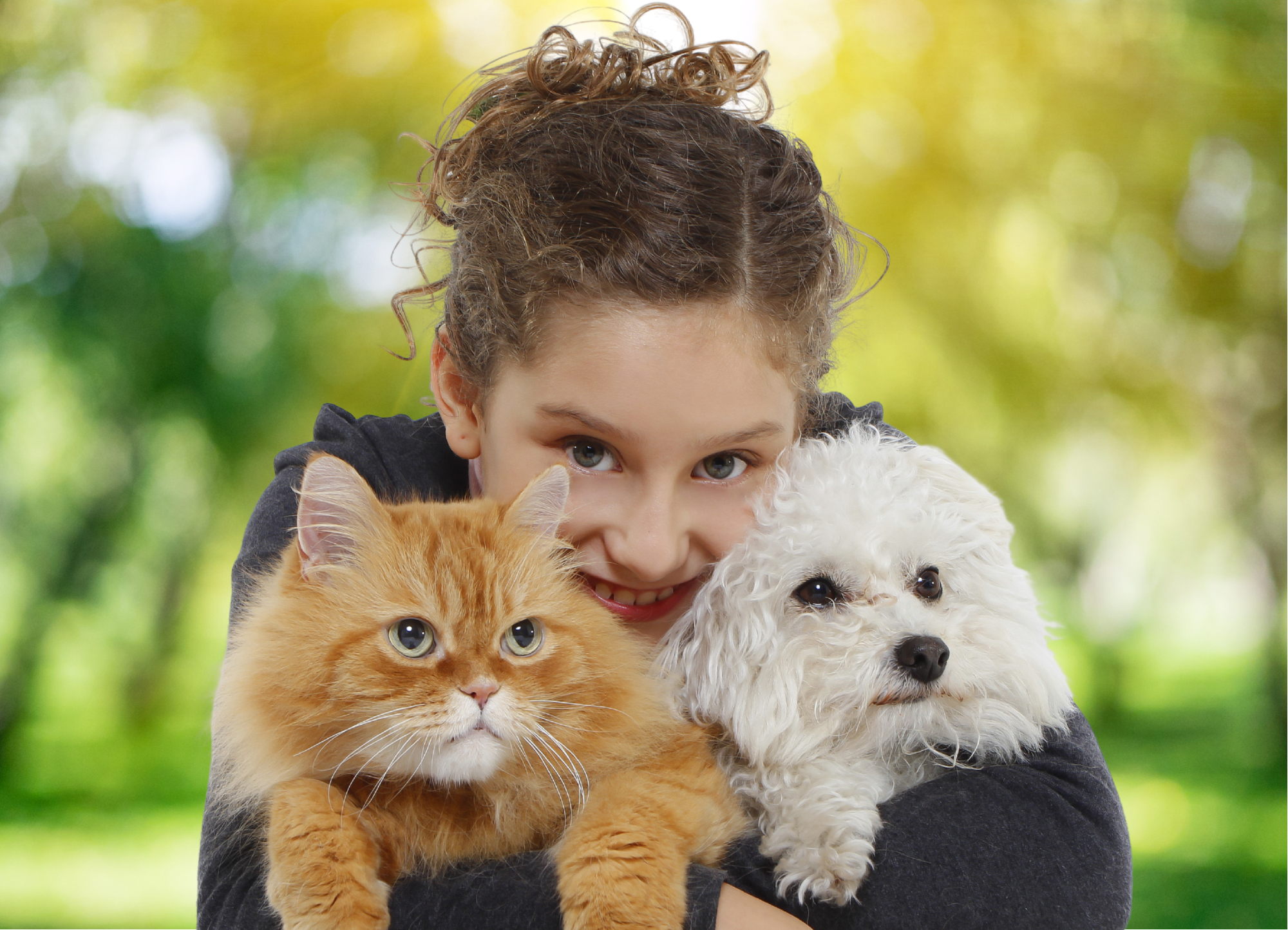 chien bienvenus camping les trois sources