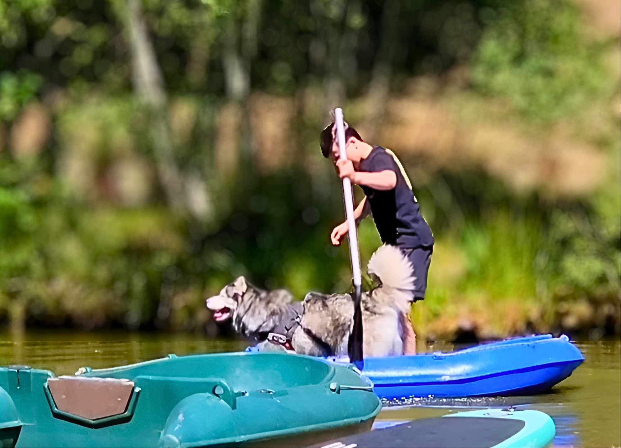 chien sur une barque avec son maître au camping les trois sources , région occitanie